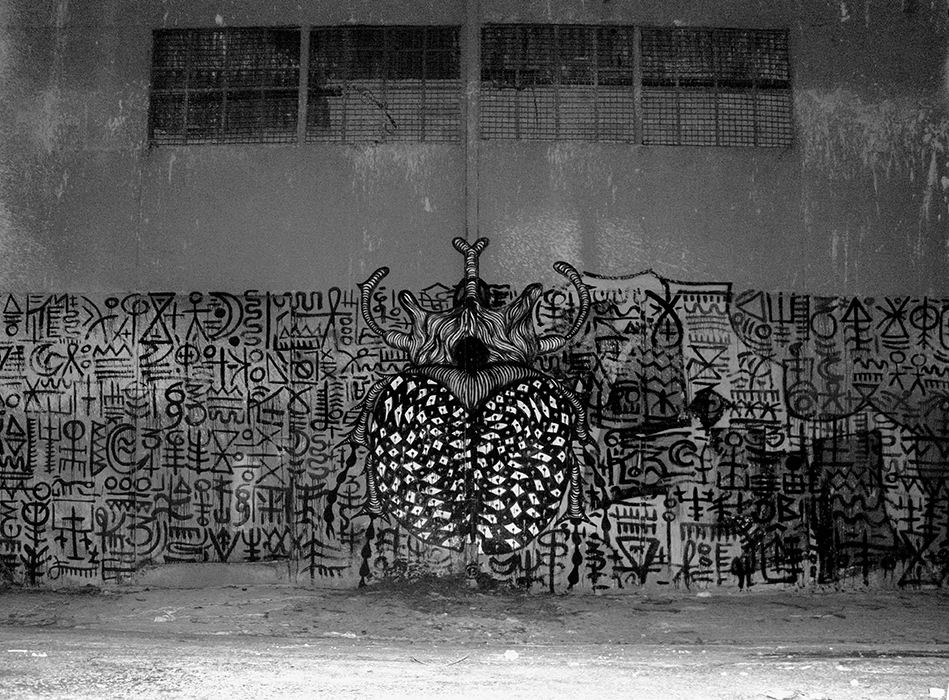 graffiti, street art, athens, urban art, Greek artist, painting, artwork, dimitris ntokos, lives in Athens, scarab, scarabeus, beetle, dimitris dokos, canvas, contemporary art, modern art, art, beetle, optic art, art