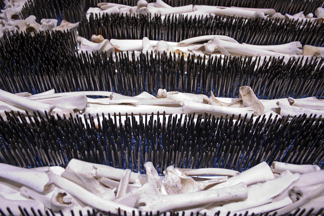 Greek flag,nails, bones, Greek artist, painting, artwork, dimitris ntokos, lives in Athens, scarab, scarabeus, beetle, dimitris dokos, canvas, contemporary art, modern art, art, beetle, optic art, art