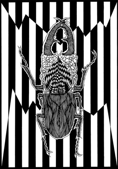 Greek artist, painting, artwork, dimitris ntokos, lives in Athens, scarab, scarabeus, beetle, dimitris dokos, canvas, contemporary art, modern art, art, beetle, optic art, art