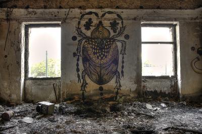 graffiti, street art, athens, urban art, Greek artist, painting, artwork, dimitris ntokos, lives in Athens, scarab, scarabeus, beetle, dimitris dokos, canvas, contemporary art, modern art, art, beetle, optic art, art
