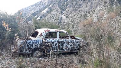 graffiti, street art, athens, urban art, Greek artist, painting, artwork, dimitris ntokos, lives in Athens, scarab, scarabeus, beetle, dimitris dokos, canvas, contemporary art, modern art, art, beetle, optic art, art