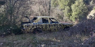 graffiti, street art, athens, urban art, Greek artist, painting, artwork, dimitris ntokos, lives in Athens, scarab, scarabeus, beetle, dimitris dokos, canvas, contemporary art, modern art, art, beetle, optic art, art