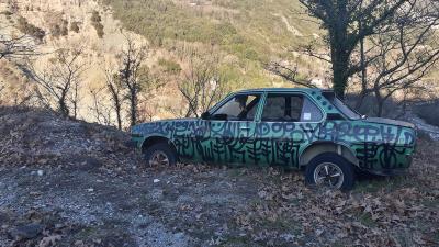 graffiti, street art, athens, urban art, Greek artist, painting, artwork, dimitris ntokos, lives in Athens, scarab, scarabeus, beetle, dimitris dokos, canvas, contemporary art, modern art, art, beetle, optic art, art