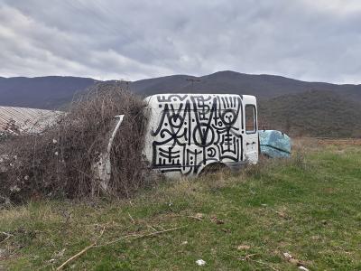 graffiti, street art, athens, urban art, Greek artist, painting, artwork, dimitris ntokos, lives in Athens, scarab, scarabeus, beetle, dimitris dokos, canvas, contemporary art, modern art, art, beetle, optic art, art